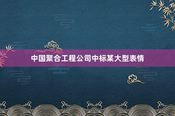 中国聚合工程公司中标某大型表情