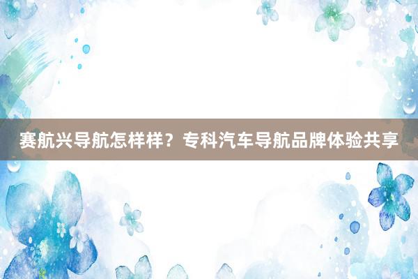 赛航兴导航怎样样？专科汽车导航品牌体验共享